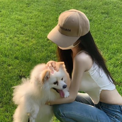 你是猪
